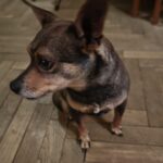 Kuky – fotografie 24