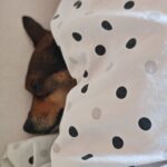 Kuky – fotografie 26