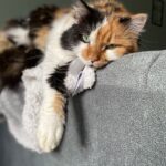 Minína – fotografie 27