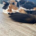 Minína – fotografie 28