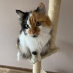 Minína – fotografie 29