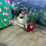 Minína – fotografie 31