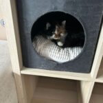 Minína – fotografie 32