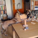 Gamp – fotografie 47