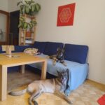 Gamp – fotografie 48