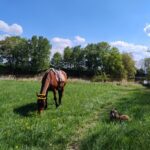 Gamp – fotografie 41