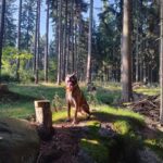 Gamp – fotografie 43