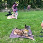 Gamp – fotografie 44