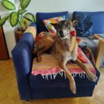 Gamp – fotografie 46
