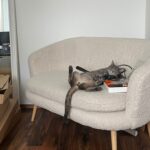 Bludík – fotografie 21