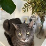 Bludík – fotografie 23