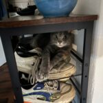Bludík – fotografie 24
