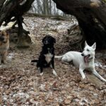 Trip – fotografie 38