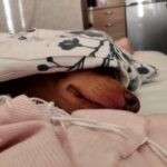 Julík – fotografie 34