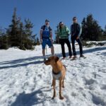 Julík – fotografie 36