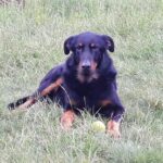 Edvard – fotografie 30