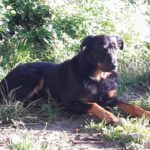 Edvard – fotografie 32