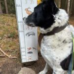 Flek – fotografie 50