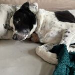 Flek – fotografie 52