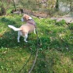 Rayly – fotografie 32