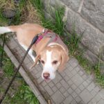 Rayly – fotografie 33