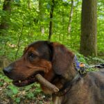 Denny – fotografie 40