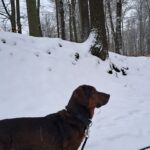 Denny – fotografie 42