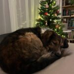 Pinďa – fotografie 42