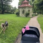 Pinďa – fotografie 43