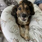 Pinďa – fotografie 45