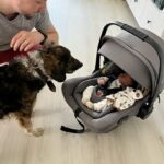 Pinďa – fotografie 46