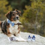 Pinďa – fotografie 48