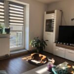 Rocco – fotografie 42