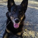 Ronnek – fotografie 17