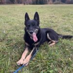 Ronnek – fotografie 9