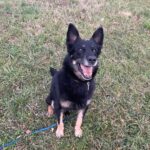 Ronnek – fotografie 7