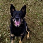 Ronnek – fotografie 16