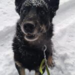 Ronnek – fotografie 5