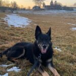 Ronnek – fotografie 3