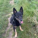 Ronnek – fotografie 15