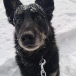 Ronnek – fotografie 4