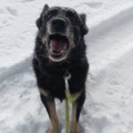 Ronnek – fotografie 6