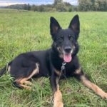 Ronnek – fotografie 11