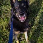 Ronnek – fotografie 10