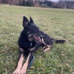 Ronnek – fotografie 8