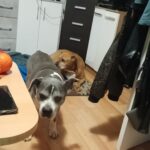 Sophia – fotografie 31