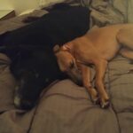 Dark – fotografie 35