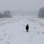 Dark – fotografie 36