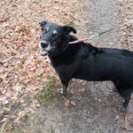 Dark – fotografie 37