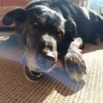 Dark – fotografie 38